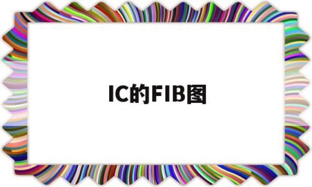 IC的FIB图